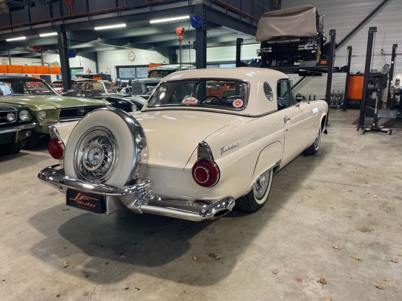 Occasion FORD THUNDERBIRD 1956 Vaucluse 84