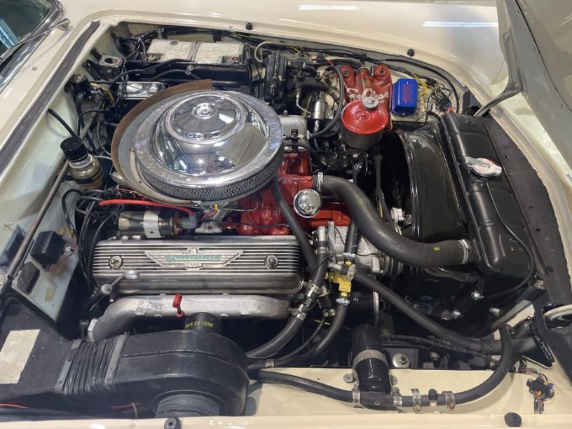 Occasion FORD THUNDERBIRD 1956 Vaucluse 84