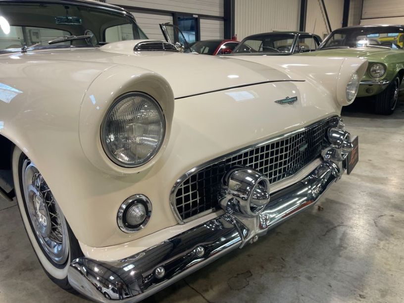 Occasion FORD THUNDERBIRD 1956 Vaucluse 84