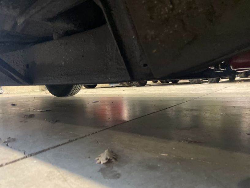 Occasion FORD THUNDERBIRD 1956 Vaucluse 84