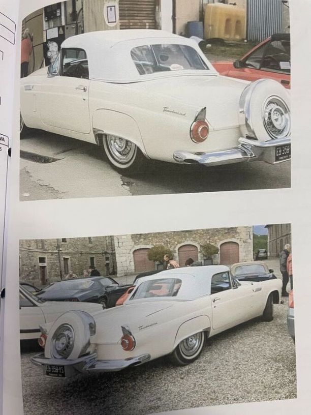 Occasion FORD THUNDERBIRD 1956 Vaucluse 84